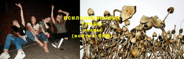 мяу мяу мука Алексин